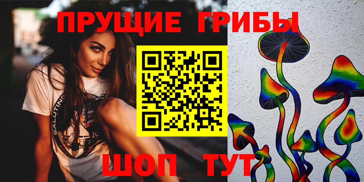 Галлюциногенные грибы Psilocybe Сердобск