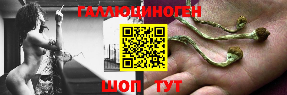Псилоцибиновые грибы ЛСД  Галлюциногенные грибы мицелий  Вход с VPN  продажа наркотиков  Сердобск 